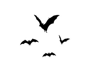 Fototapeta premium Vector art of a flock of black bat silhouettes flying in the air