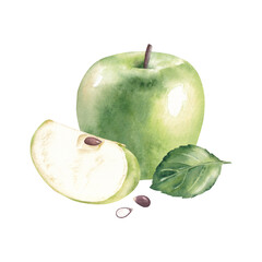Watercolor arrangement of green apple, leaf and seeds. Hand drawn illustration isolated on white background
