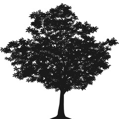 Large Tree Silhouette Illustration for Nature, Landscape, and Forest Design