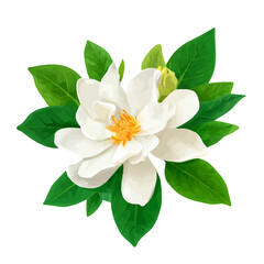 Obraz premium Gardenia Flower Mangrove, 2D flat vector illustration in icon style, isolated on a white background