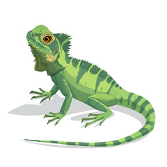 Minimal 2D flat vector of a Basilisk, icon-style illustration on a white background