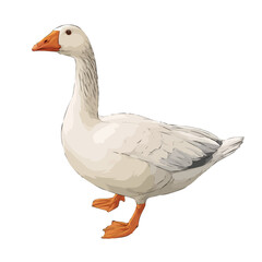 Flat 2D Goose vector illustration, icon graphic on white background