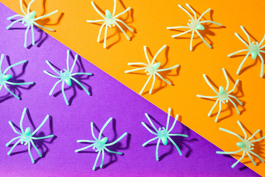 Fake spiders on an Orange and purple background. Halloween background