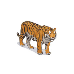 Minimal 2D flat vector of a Tiger, icon-style illustration on a white background