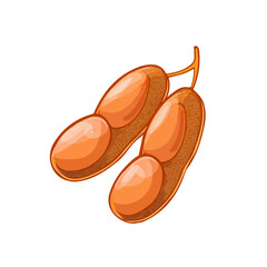 Minimal 2D flat vector of a Tamarind, icon-style illustration on a white background