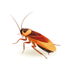 2D flat vector graphic of a Cockroach in icon style, isolated on white background