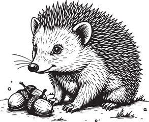 Cute Hedgehog: An adorable illustration of a hedgehog with a curious gaze, accompanied by several acorns, perfect for evoking a sense of autumnal charm.