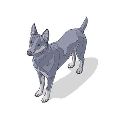 Flat 2D Kelpie vector illustration, icon graphic on white background