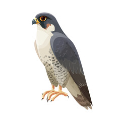 Minimal 2D flat vector of a Falcon, icon-style illustration on a white background