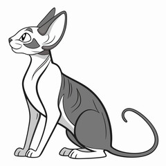 Sphinx cat breed color flat icon for web and mobile design. Vector illustration of cartoon Sphinx cat exotic cats of breed a sphinx. Cat portrait. Isolated on white background.