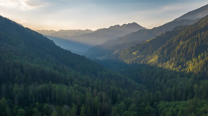 Obraz premium Aerial drone view of Kumrat Valley forest and surrounding mountains landscape for nature photography design