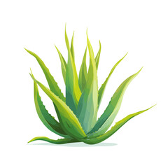 2D flat vector graphic of a Aloe Vera in icon style, isolated on white background
