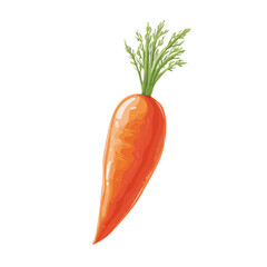 Minimal 2D flat vector of a Carrot, icon-style illustration on a white background
