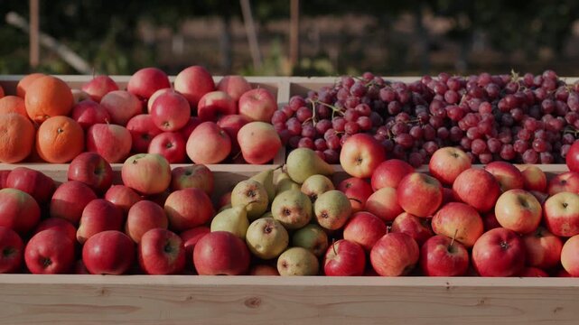 A counter with juicy apples and other fruits 4k video