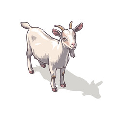 Goat, 2D flat vector illustration in icon style, isolated on a white background