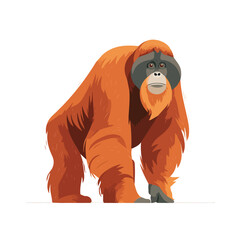 Flat 2D Orangutan vector illustration, icon graphic on white background