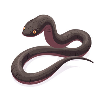 Minimal 2D flat vector of a Caecilian, icon-style illustration on a white background