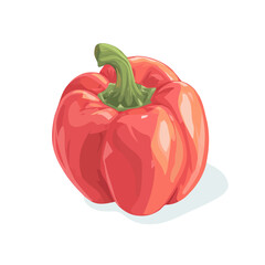Flat 2D Bell Pepper vector illustration, icon graphic on white background