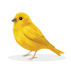 Canary, 2D flat vector illustration in icon style, isolated on a white background