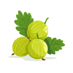 Flat 2D Indian Gooseberry Amla vector illustration, icon graphic on white background