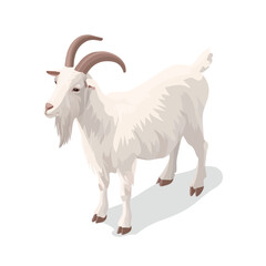 Fototapeta premium 2D flat vector graphic of a Goat in icon style, isolated on white background