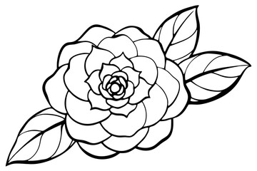 Obraz premium vector drawing of a rose