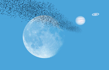 Silhouette of birds flying under Saturn and Jupiter Convergence That Happens Every 20 Years, full moon in the foreground  