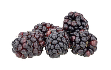 mulberry isolated on transparent png