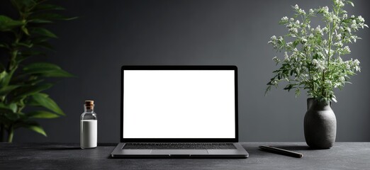 Laptop on desk with plants and accessories.