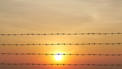 Barbed Wire Silhouette at Sunset: Barbed wire against a vibrant sunset. A poignant capture of...