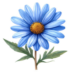 A vibrant blue daisy flower with a yellow center and green leaves, set against a Transparent Background