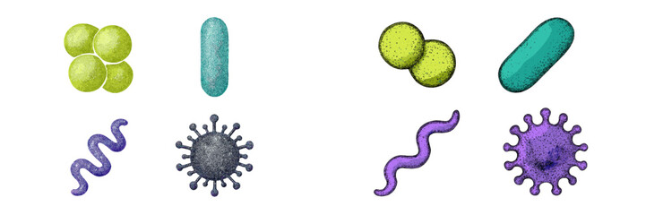 Colorful illustrations of various microorganisms including bacteria, viruses, and other cells in a scientific style