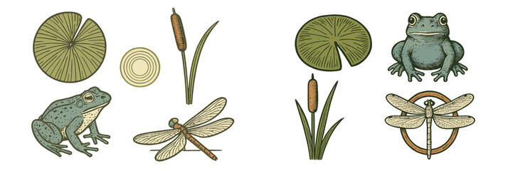 Collection of pond life elements featuring frogs, water lilies, cattails, and dragonflies in a natural wetland environment