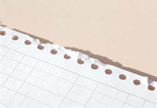 Close up of torn graph paper with perforated edge and square grid on neutral beige background in bright natural light