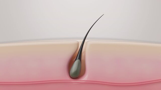 Pore and Hair Follicle Cleansing with Foam Wash, 3D Animation
