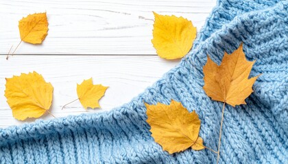 Dry  autumnal leaves on pastel blue knitted wool blanket on white wooden table in sunlight. 
