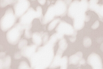 Leaf shadow and light beige background. Nature tropical leaves plant and tree branch shade with sunlight on wall texture for background wallpaper and design, shadow overlay effect