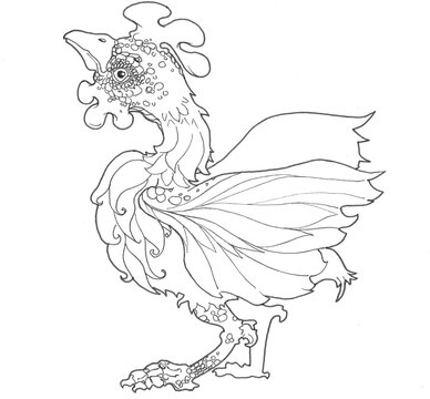 Beau coq fantaisiste et d'apparat aux plumes imposantes en noir et blanc