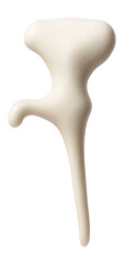Fototapeta premium Incus bone displaying anvil-like shape with a short and long limb