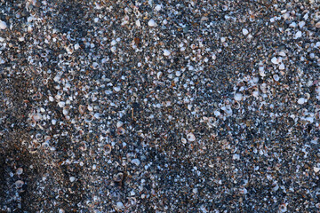 Close ground view of wet beach granules with a diagonal band marking the compacted swash zone. Mixture of tiny stones, shell grit and dark sand creates a speckled pattern. Moisture darkens © nicholasgeorgiou