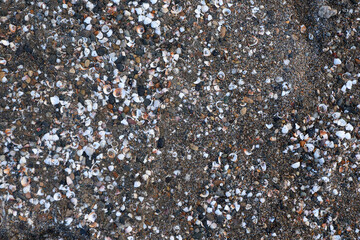 Close ground view of wet beach granules with a diagonal band marking the compacted swash zone. Mixture of tiny stones, shell grit and dark sand creates a speckled pattern. Moisture darkens © nicholasgeorgiou