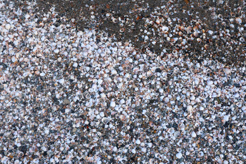 Close ground view of wet beach granules with a diagonal band marking the compacted swash zone. Mixture of tiny stones, shell grit and dark sand creates a speckled pattern. Moisture darkens © nicholasgeorgiou