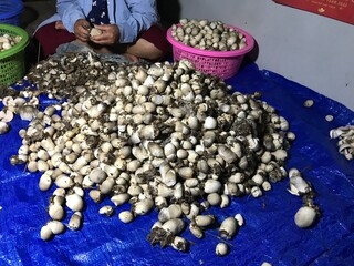 dried fruits and nuts