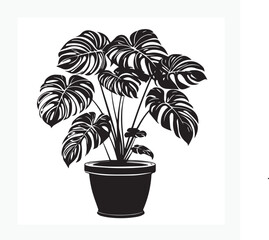 vector of a pot with a lush monstera © bima saputra