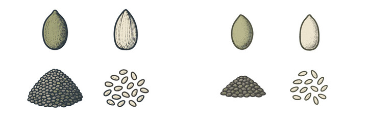 Detailed illustration of various seeds showcasing unique shapes and textures in a simple layout
