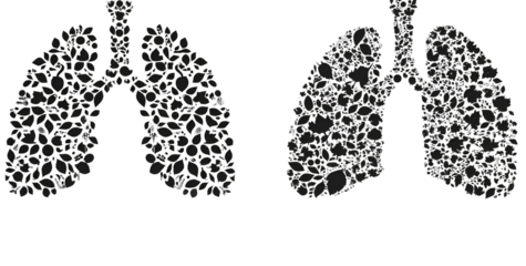 set of black vector icons on a white background, lungs with a natural pattern and microscopic small-shaped biological 