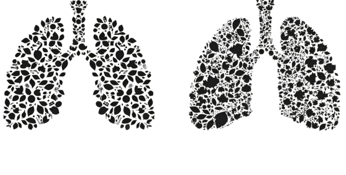 set of black vector icons on a white background, lungs with a natural pattern and microscopic small-shaped biological 