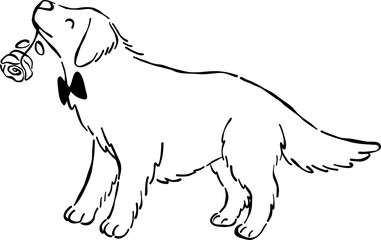 Hand Drawn Golden Retriever, Whimsical Wedding Doodle Illustration