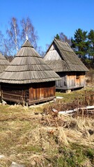 Rustic wooden houses with thatched roofs under a clear sky
