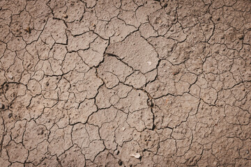 Dry cracked soil close-up, symbol of drought, climate change, and environmental challenges in arid landscapes